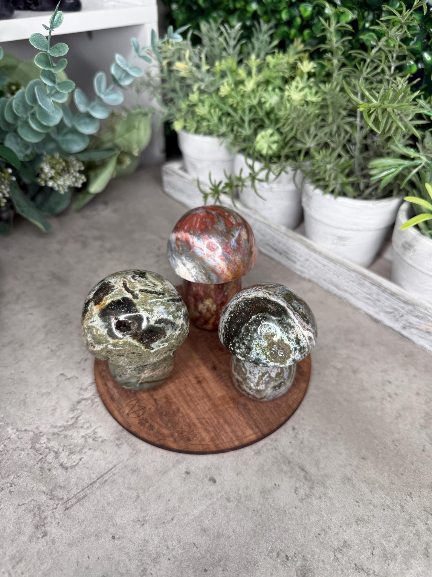 Ocean Jasper Mushroom Crystal Carvings - Multiple Sizes