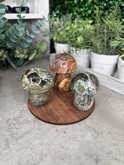 Ocean Jasper Mushroom Crystal Carvings - Multiple Sizes