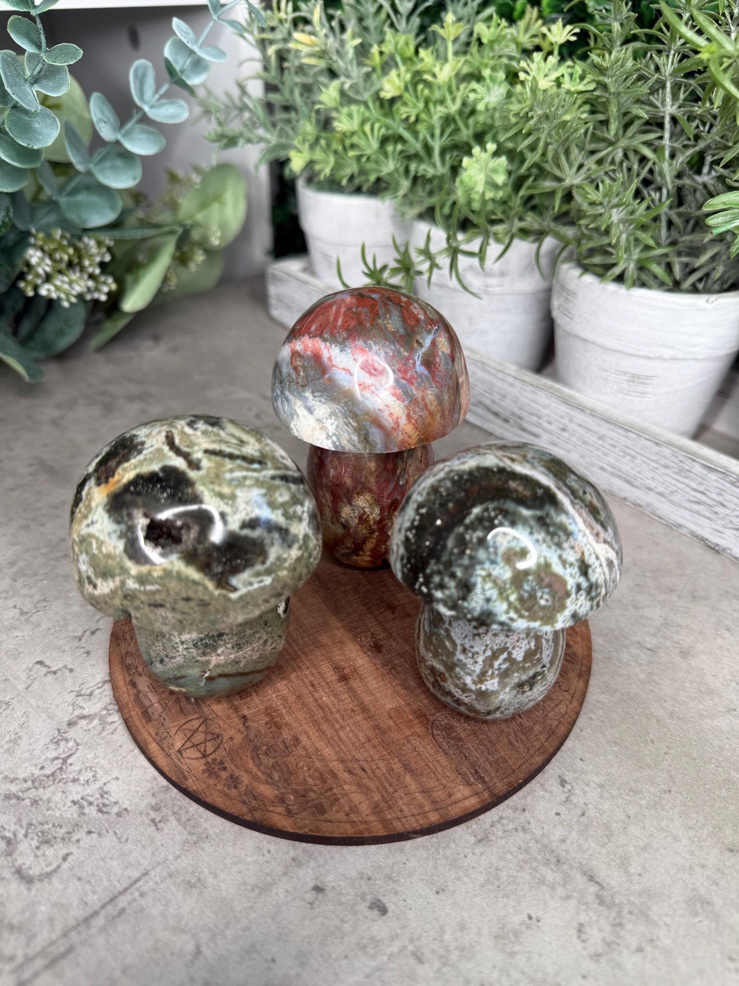 Ocean Jasper Mushroom Crystal Carvings - Multiple Sizes