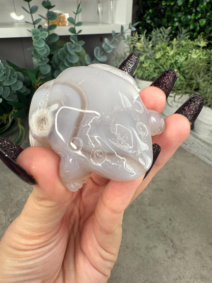 Agate Toad Frog Crystal Carvings some with druzy