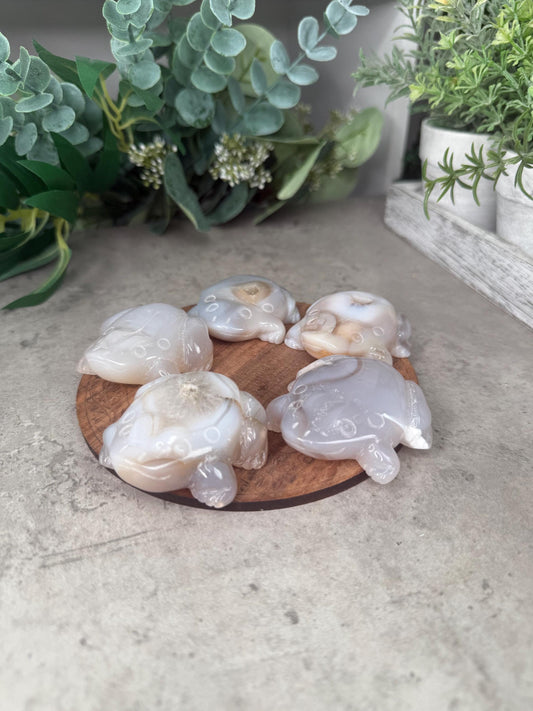 Agate Toad Frog Crystal Carvings some with druzy