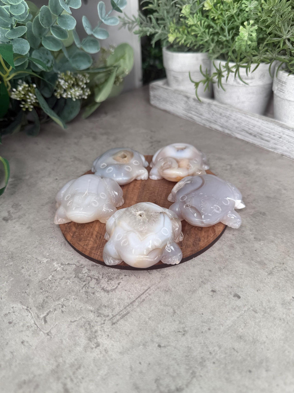 Agate Toad Frog Crystal Carvings some with druzy