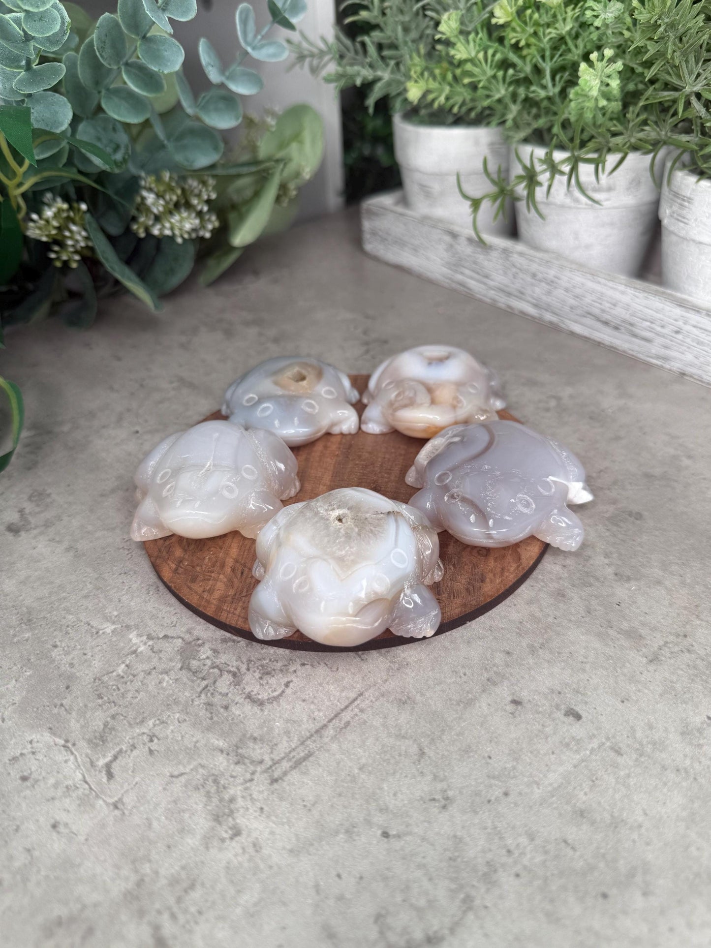 Agate Toad Frog Crystal Carvings some with druzy