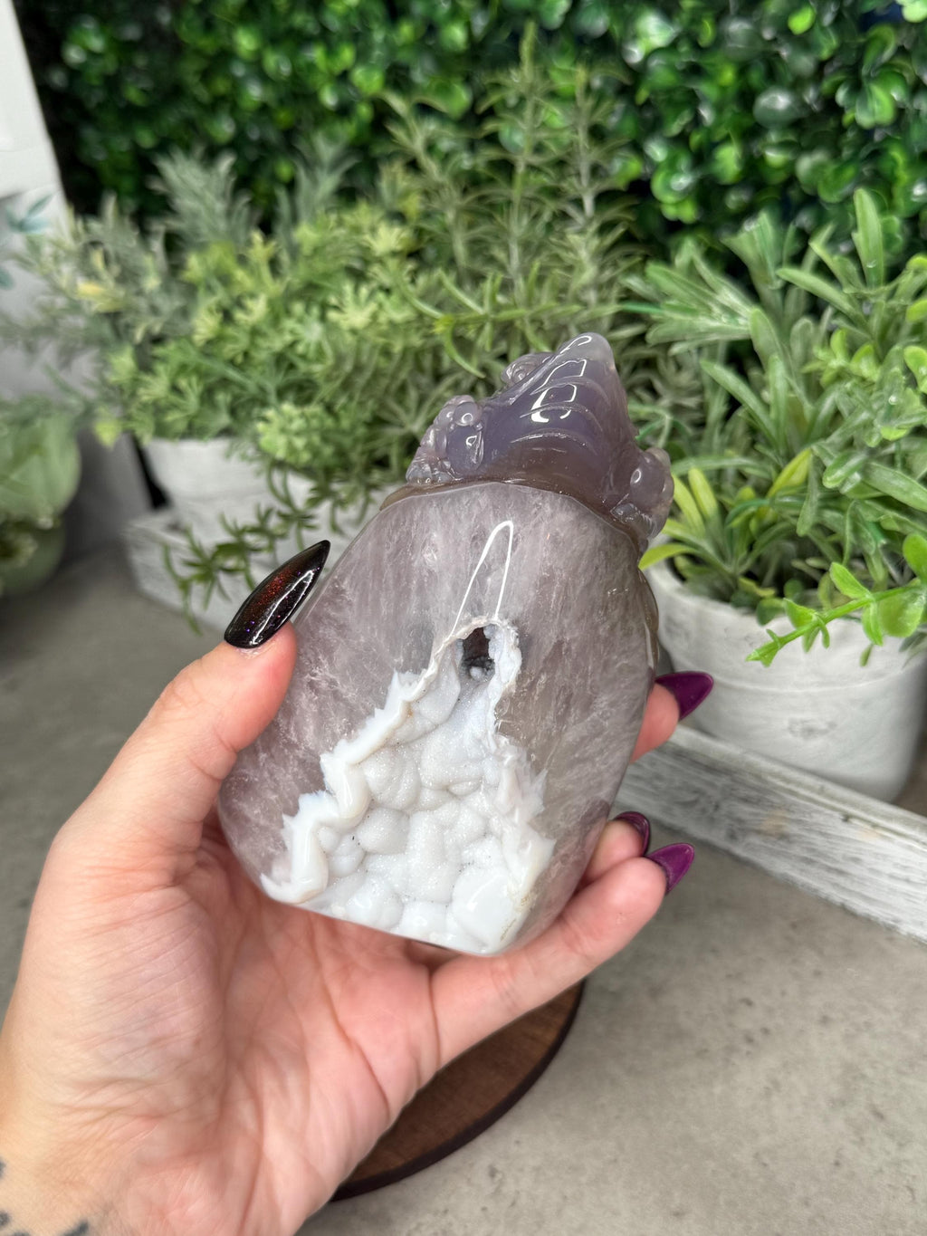 Hand Carved Druzy Agate Money Toad