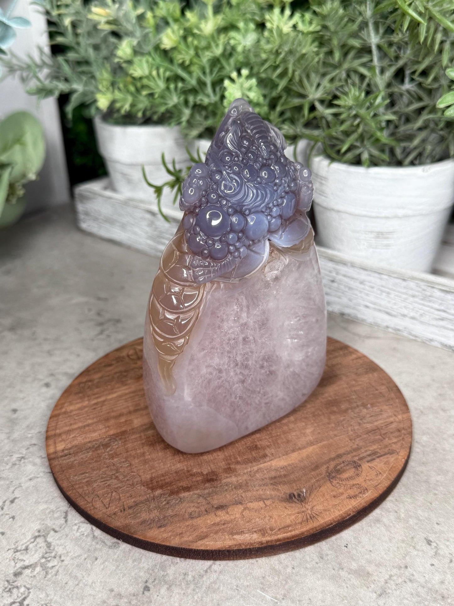 Hand Carved Druzy Agate Money Toad, Feng Shui Crystal