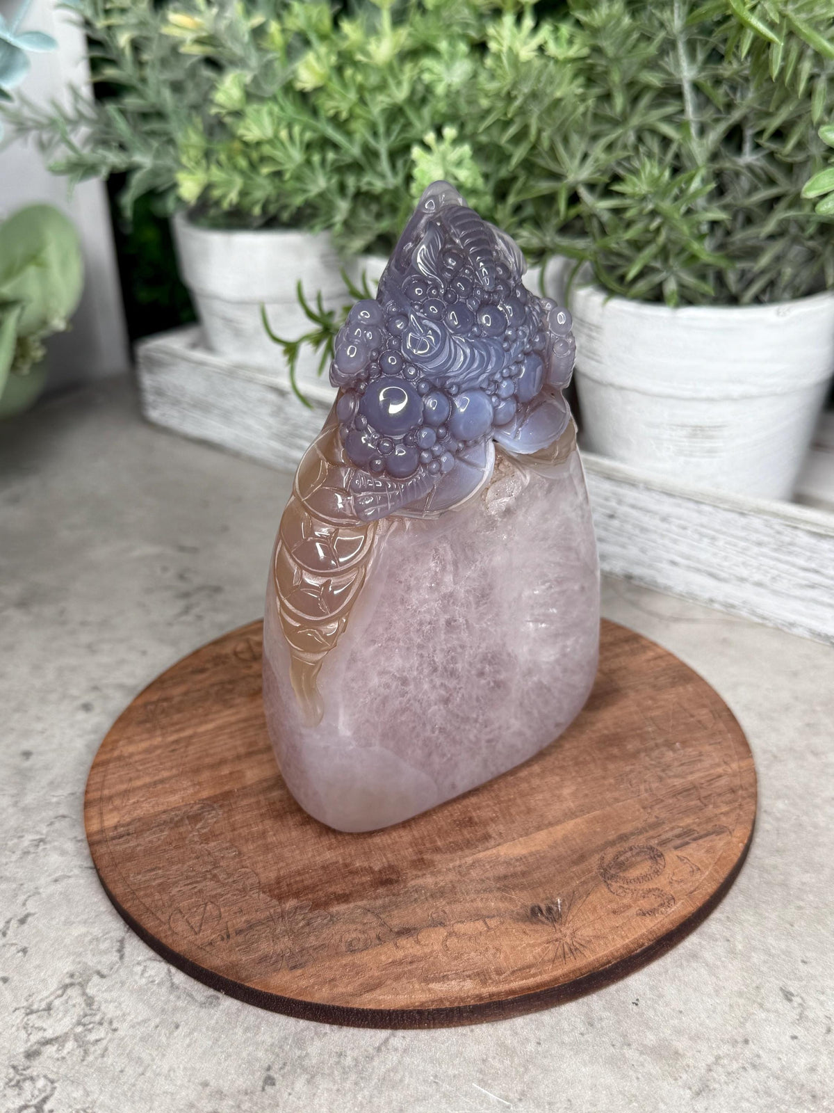 Hand Carved Druzy Agate Money Toad