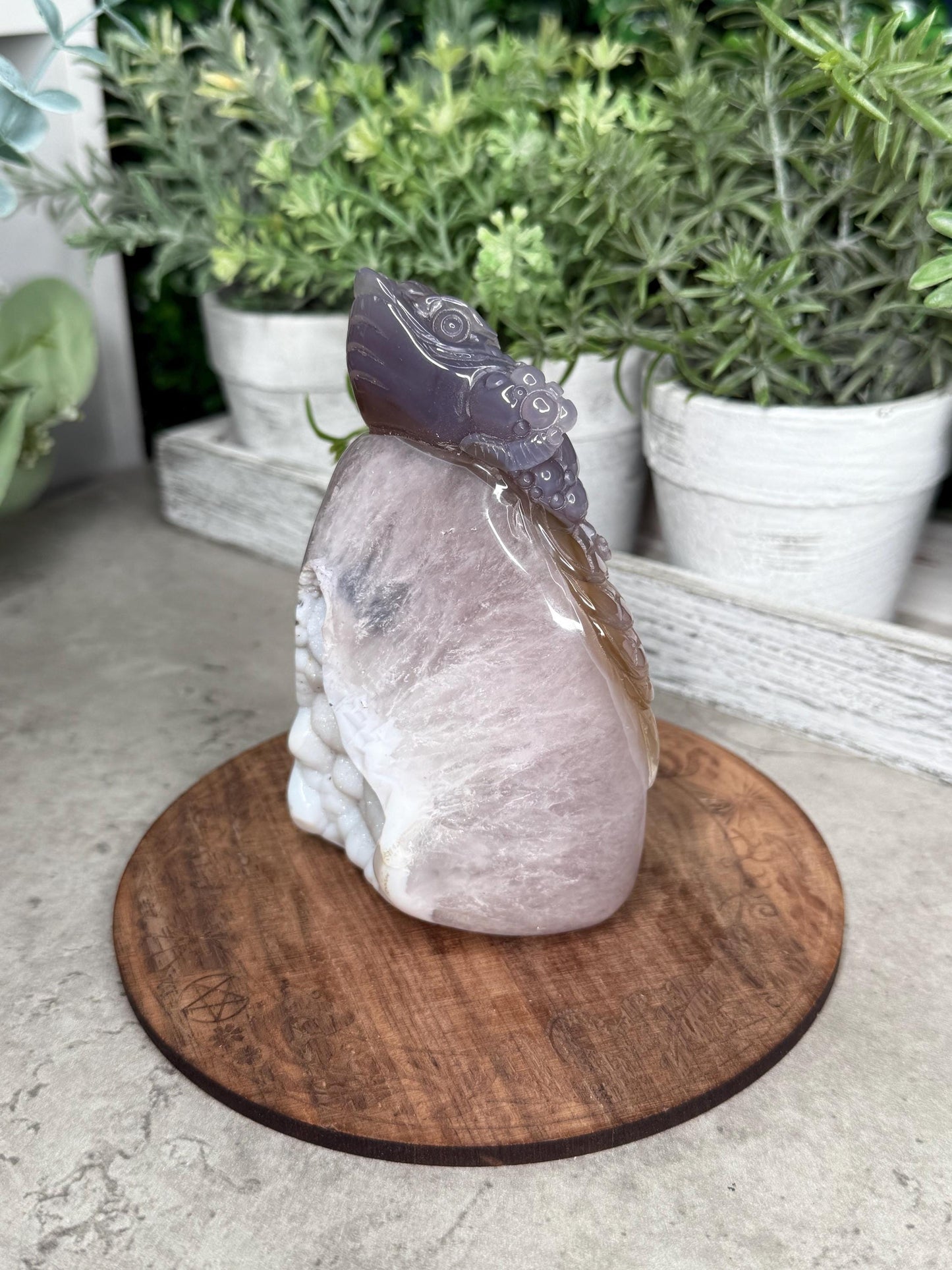 Hand Carved Druzy Agate Money Toad, Feng Shui Crystal