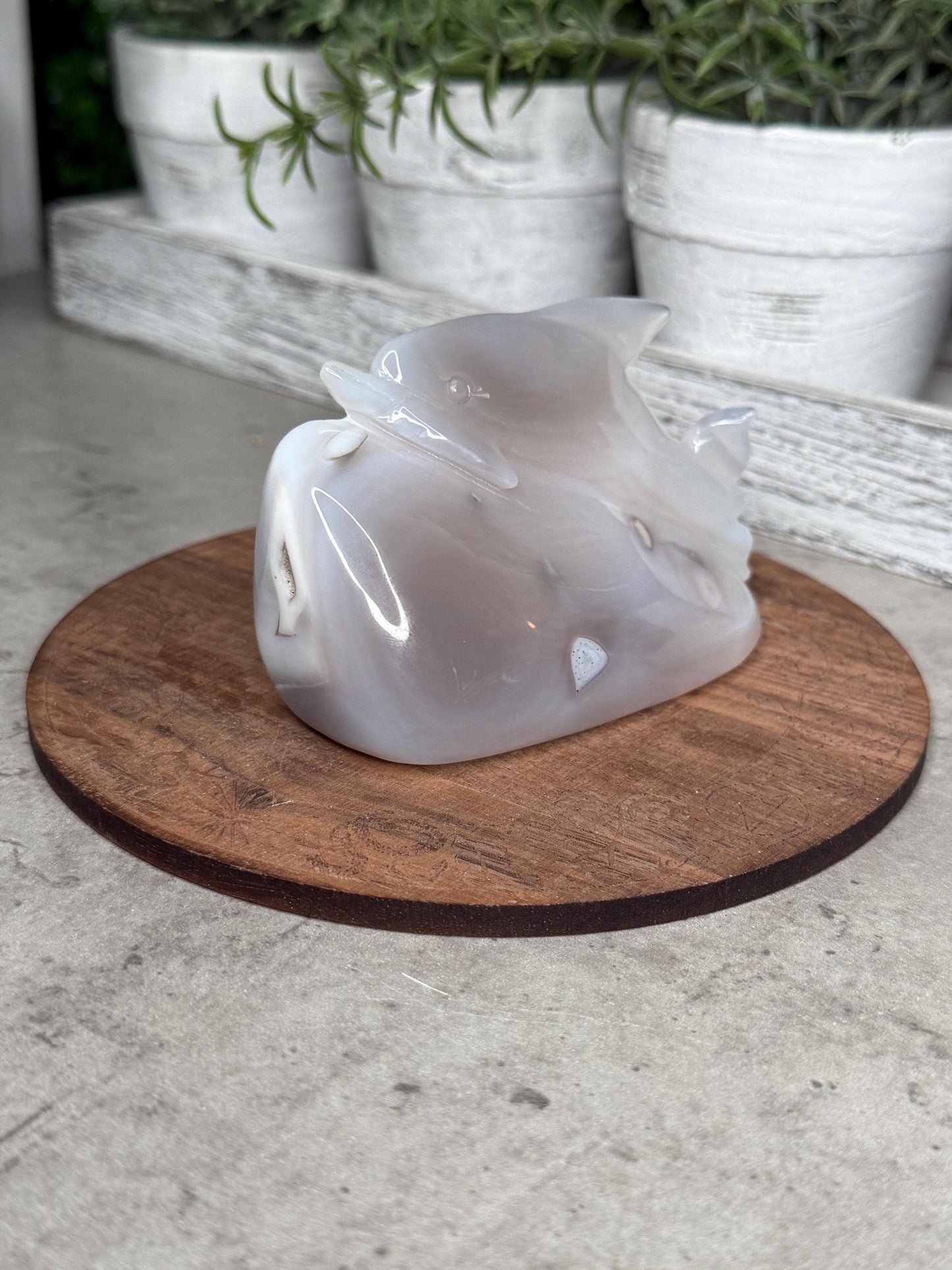 Hand Carved Druzy Agate Dolphin Crystal Carving