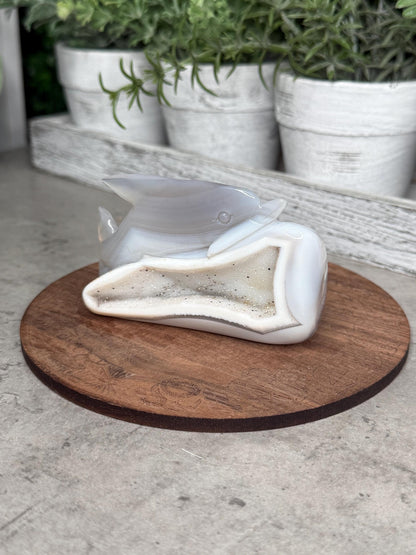 Hand Carved Druzy Agate Dolphin Crystal Carving