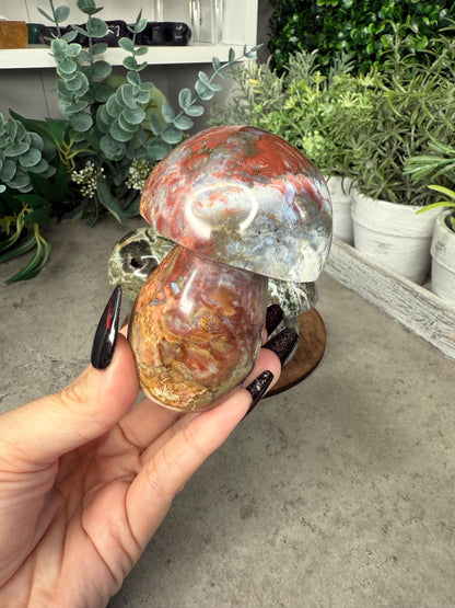 Ocean Jasper Mushroom Crystal Carvings - Multiple Sizes