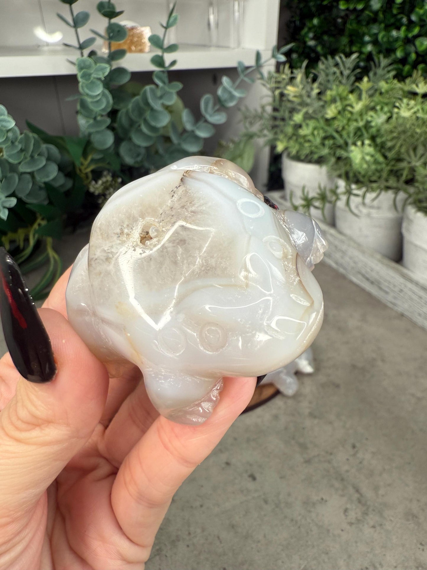 Agate Toad Frog Crystal Carvings some with druzy