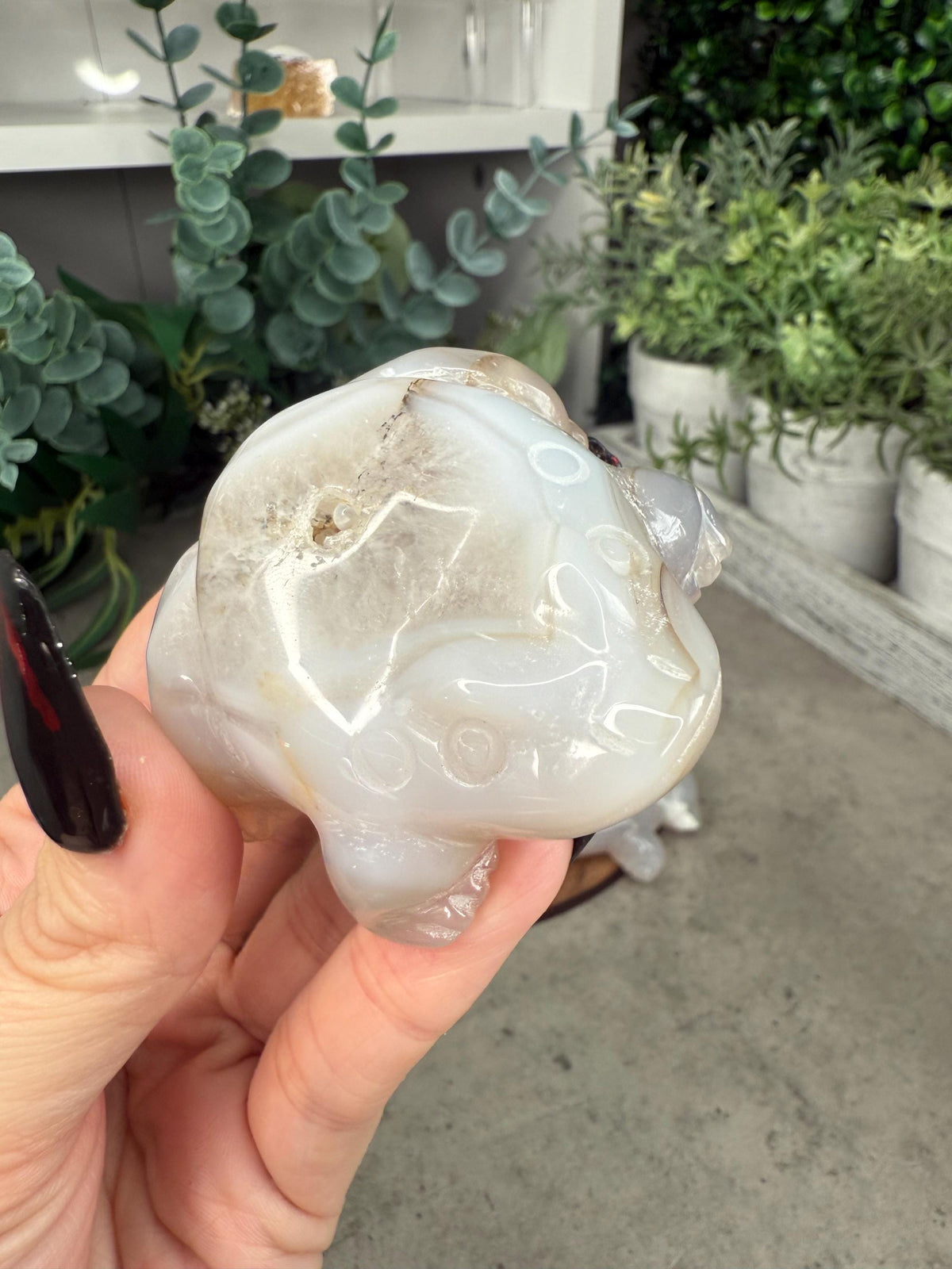 Agate Toad Frog Crystal Carvings some with druzy