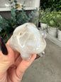 Agate Toad Frog Crystal Carvings some with druzy