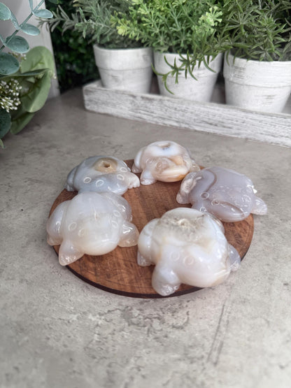 Agate Toad Frog Crystal Carvings some with druzy