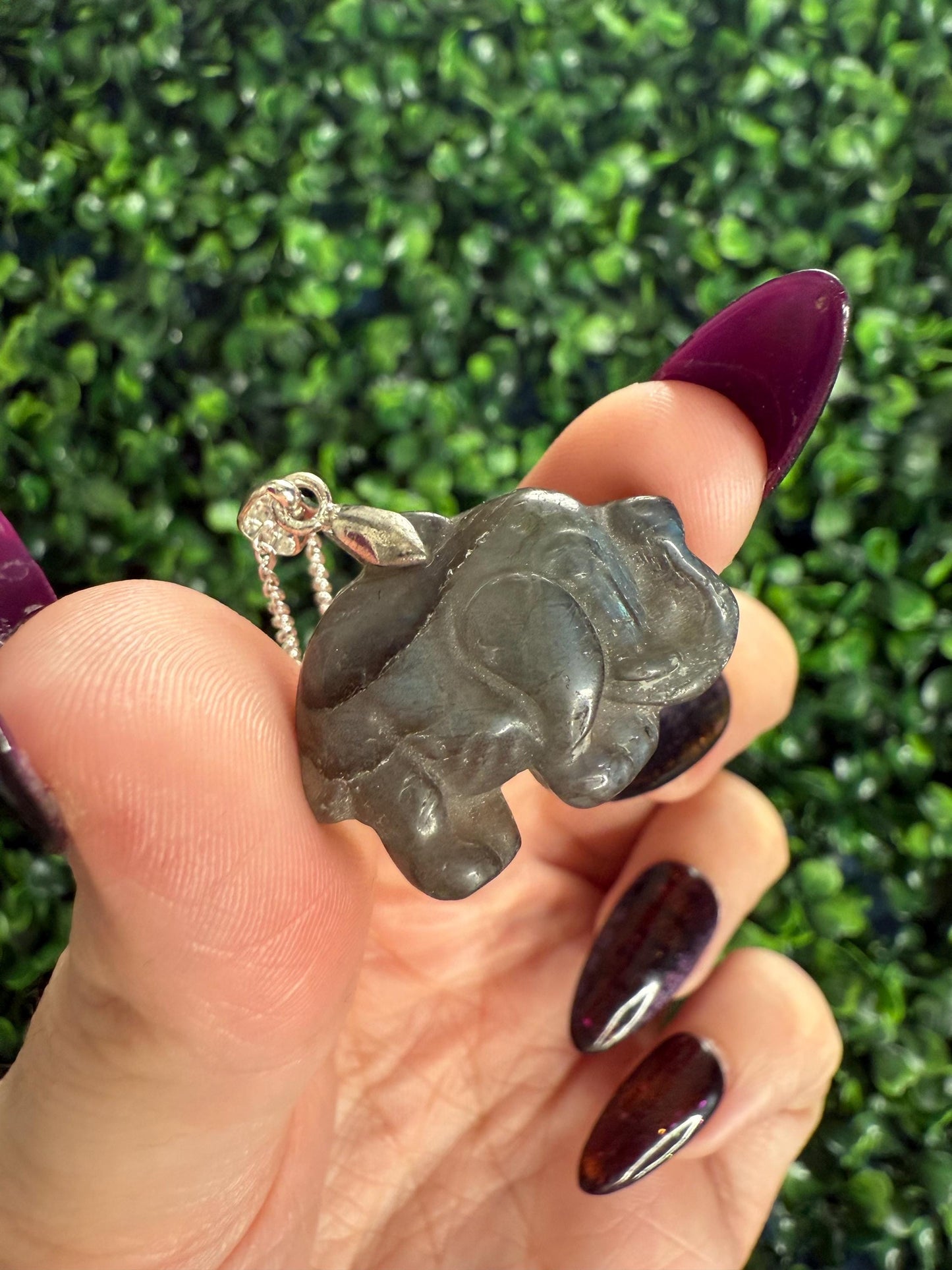 Labradorite Crystal Carving Pendants with Chain