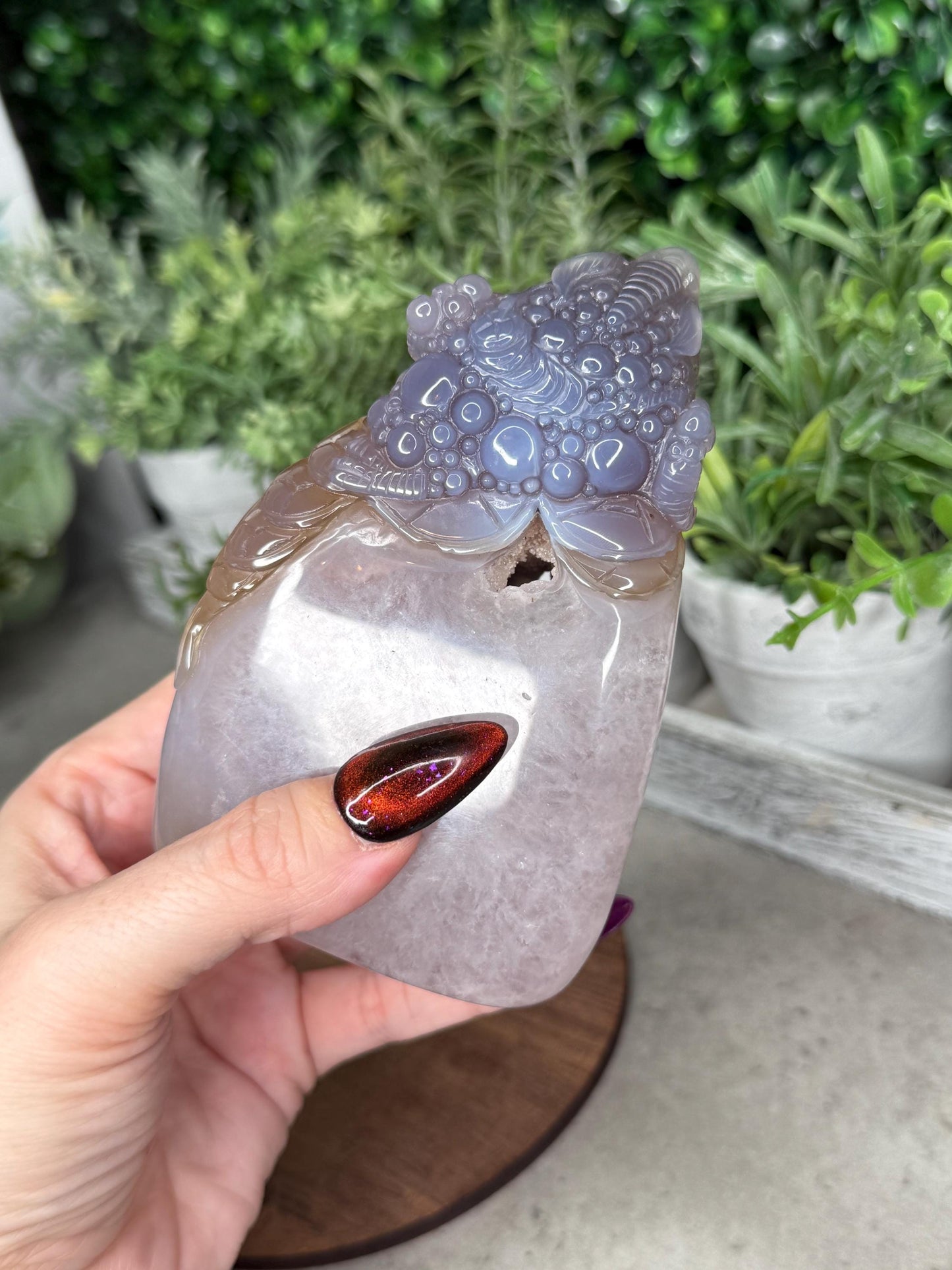 Hand Carved Druzy Agate Money Toad, Feng Shui Crystal