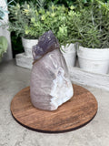 Hand Carved Druzy Agate Money Toad