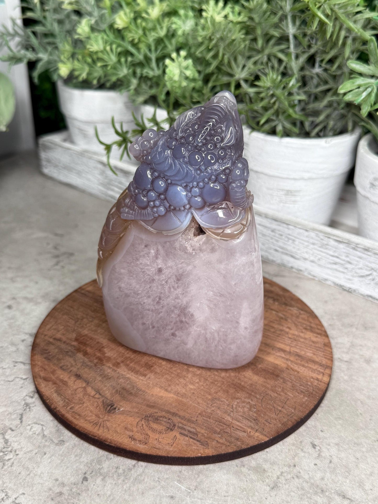 Hand Carved Druzy Agate Money Toad, Feng Shui Crystal