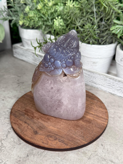 Hand Carved Druzy Agate Money Toad, Feng Shui Crystal