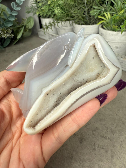 Hand Carved Druzy Agate Dolphin Crystal Carving