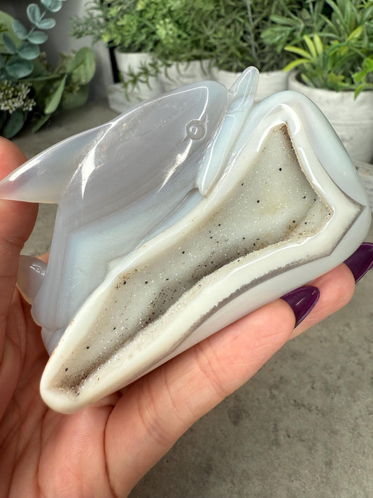 Hand Carved Druzy Agate Dolphin Crystal Carving