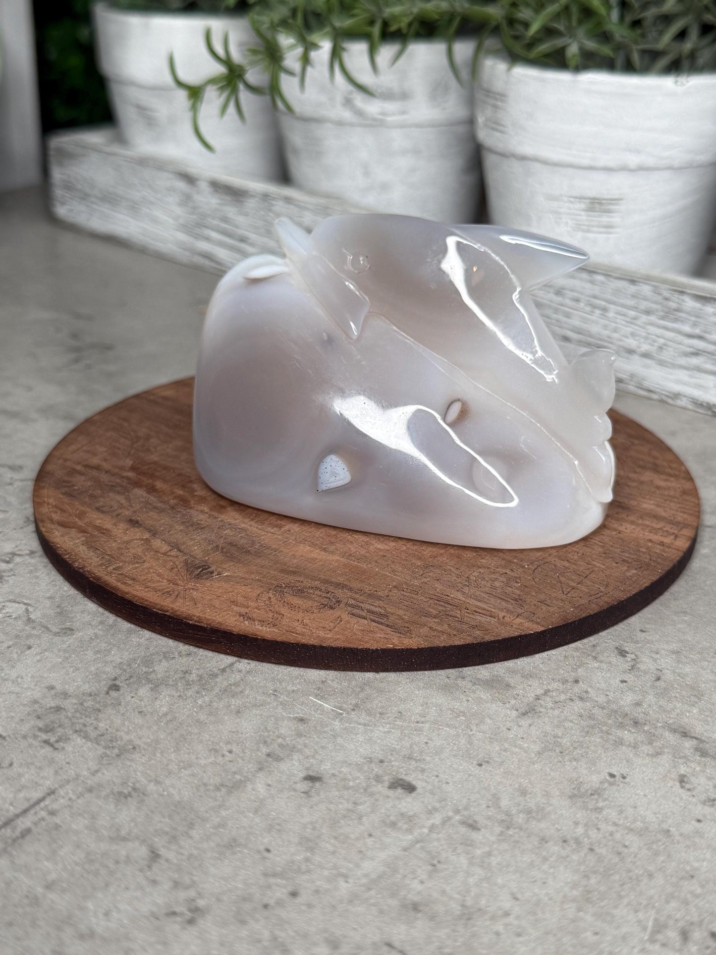 Hand Carved Druzy Agate Dolphin Crystal Carving