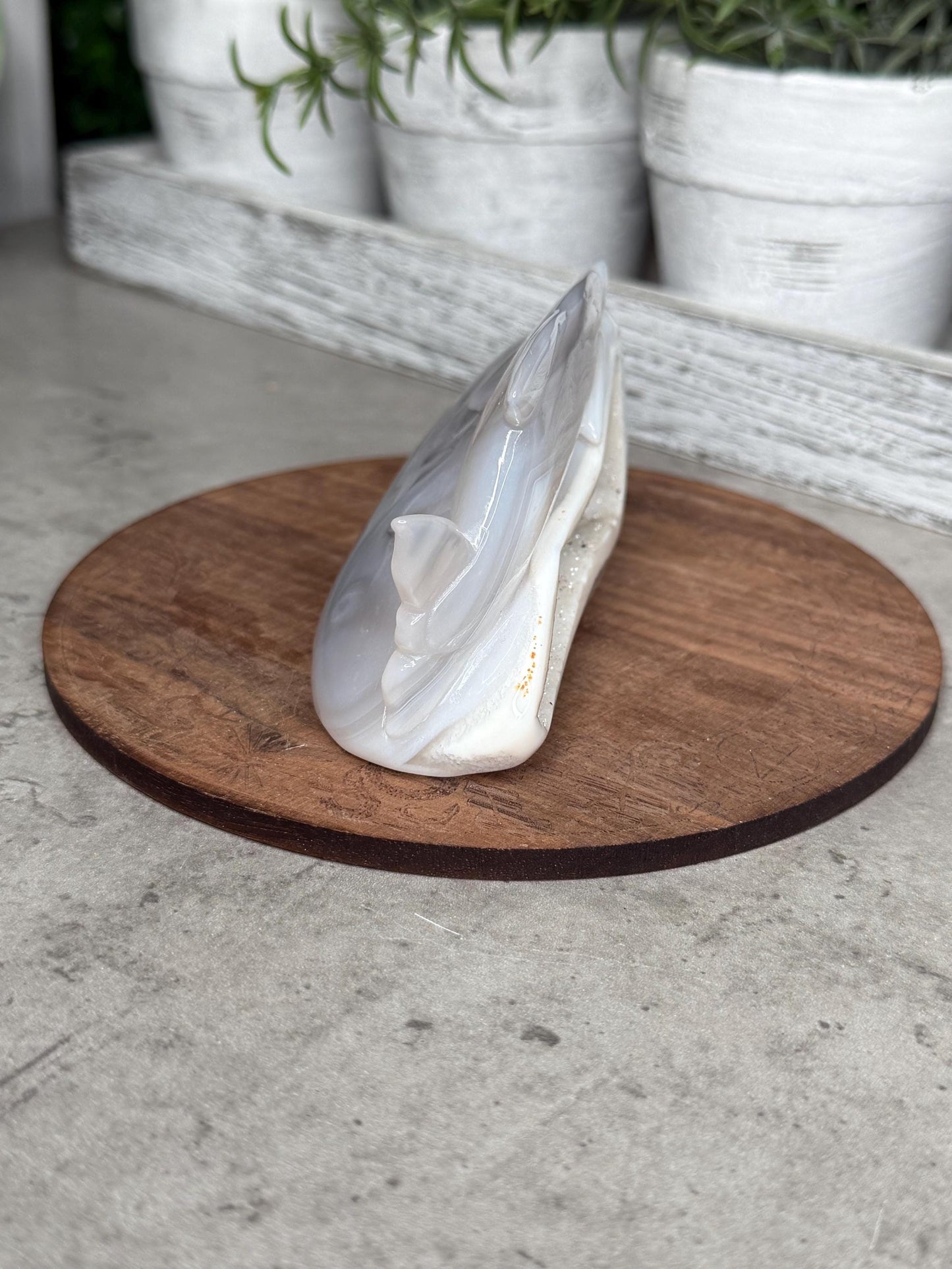 Hand Carved Druzy Agate Dolphin Crystal Carving