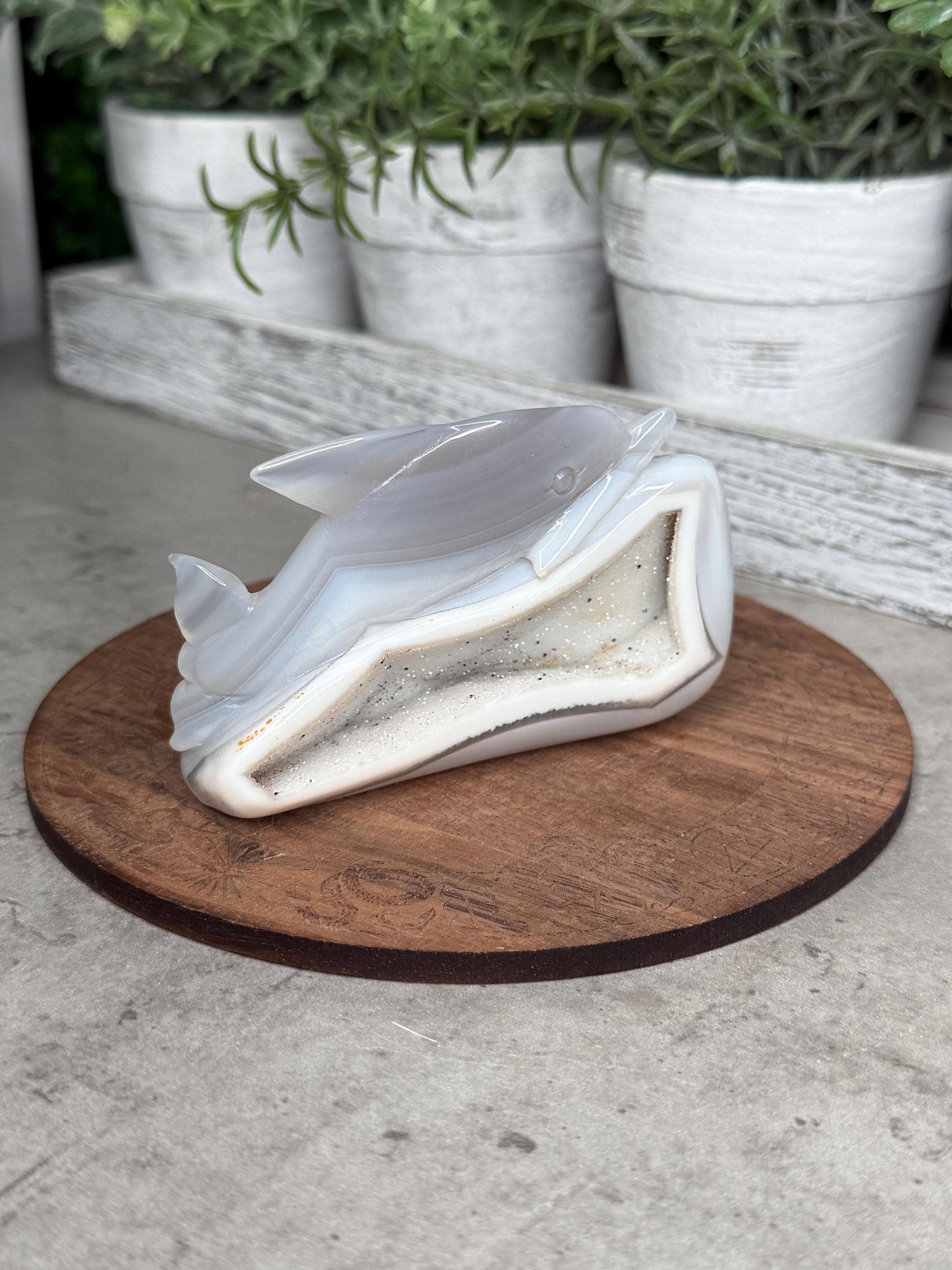 Hand Carved Druzy Agate Dolphin Crystal Carving