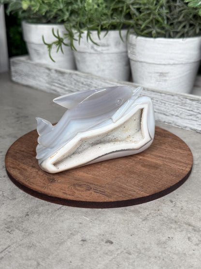 Hand Carved Druzy Agate Dolphin Crystal Carving