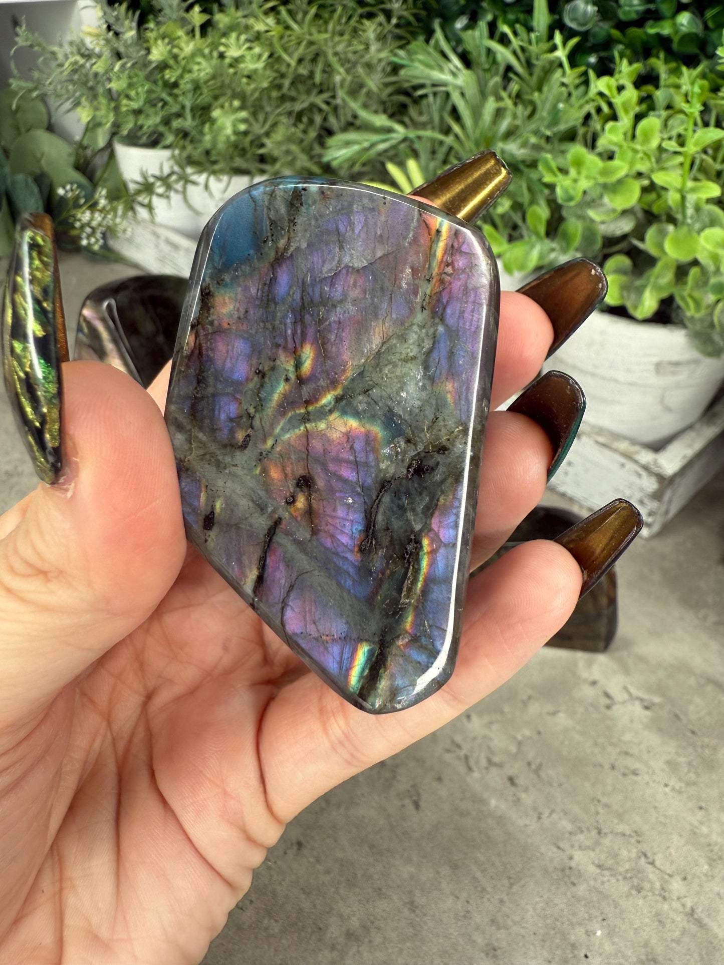 Labradorite Freeforms x - z