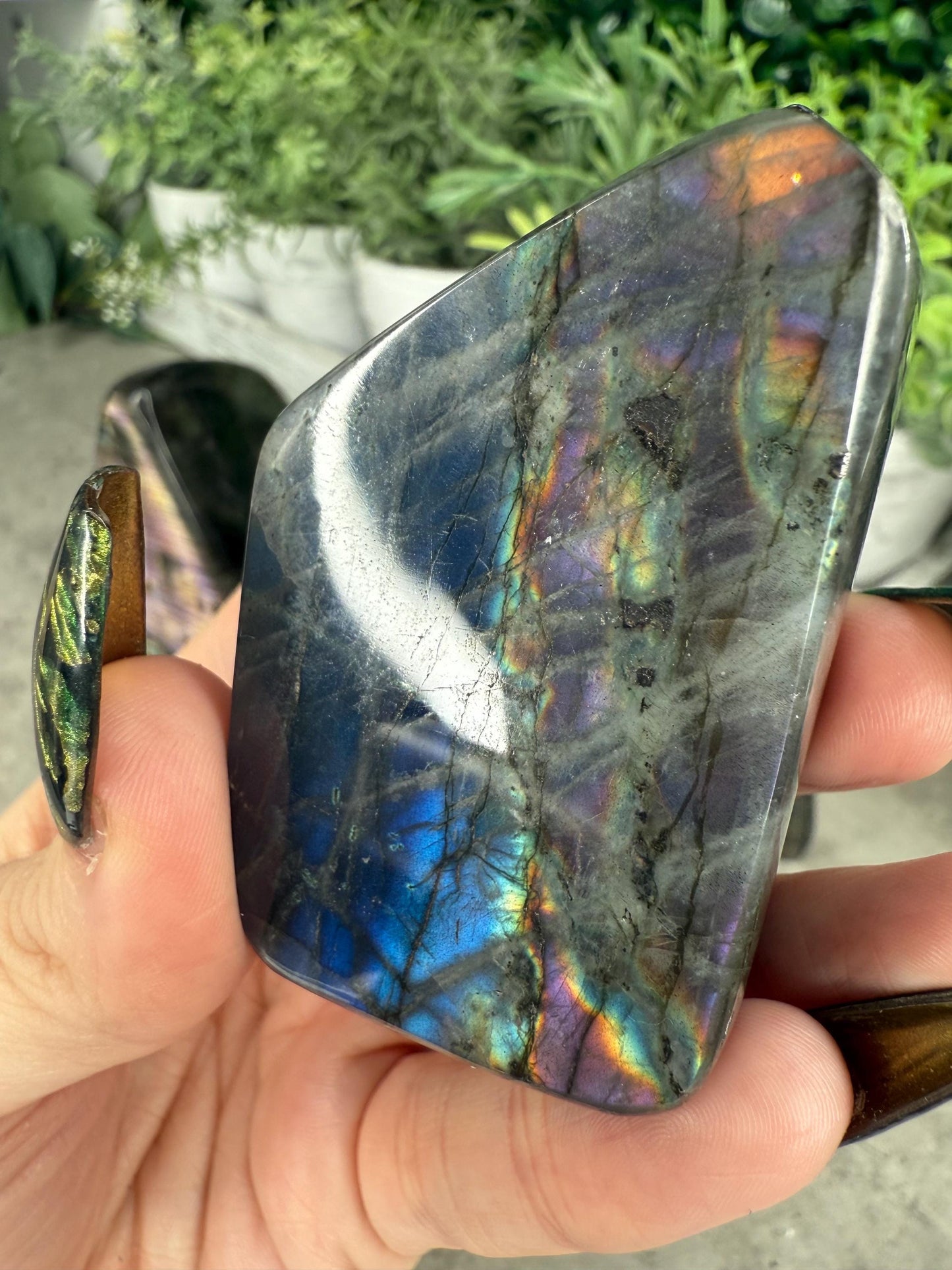 Labradorite Freeforms x - z