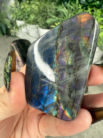 Labradorite Freeforms x - z