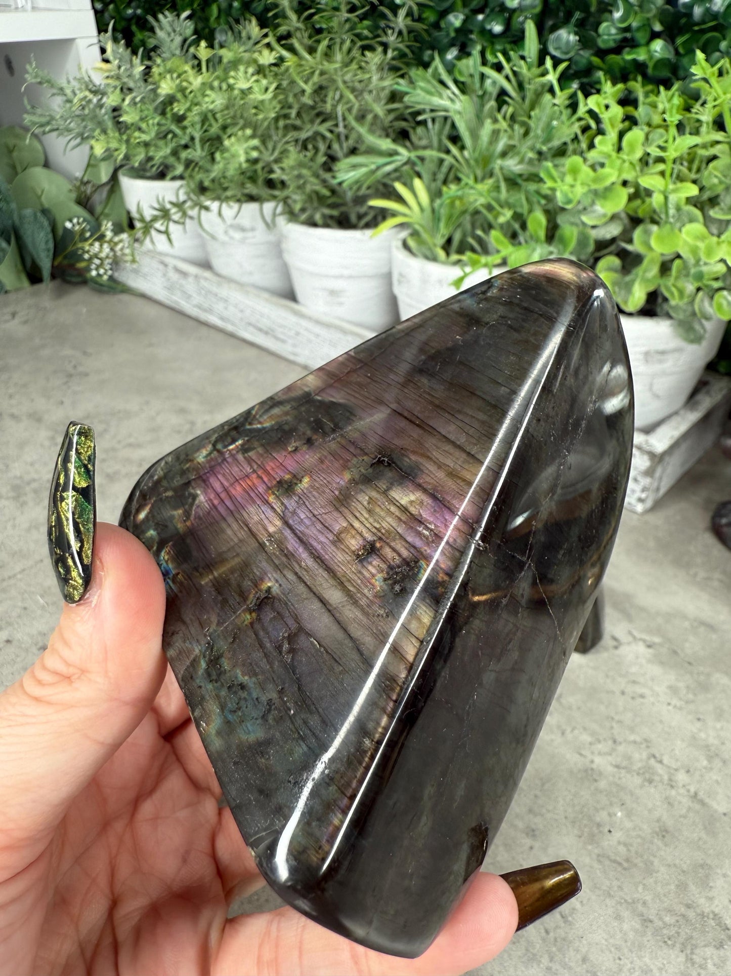 Labradorite Freeforms x - z