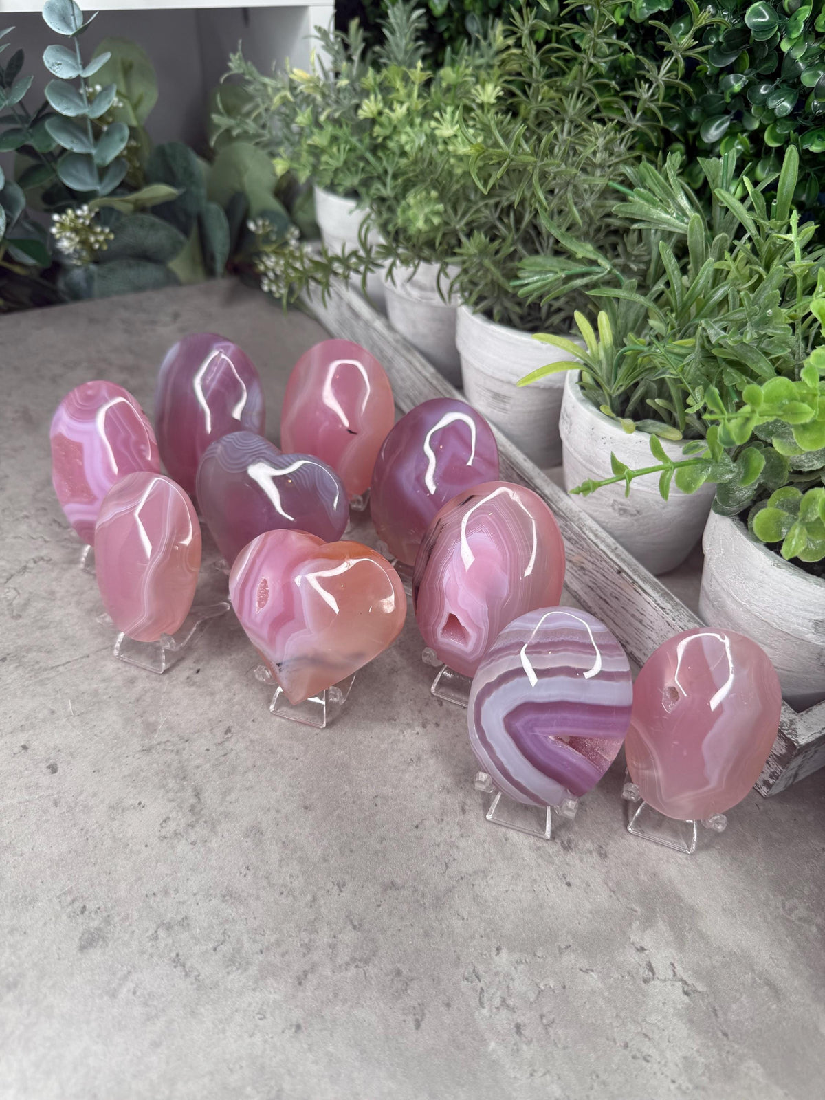 Pink Jelly Agate Large Palmstones Crystal Carvings