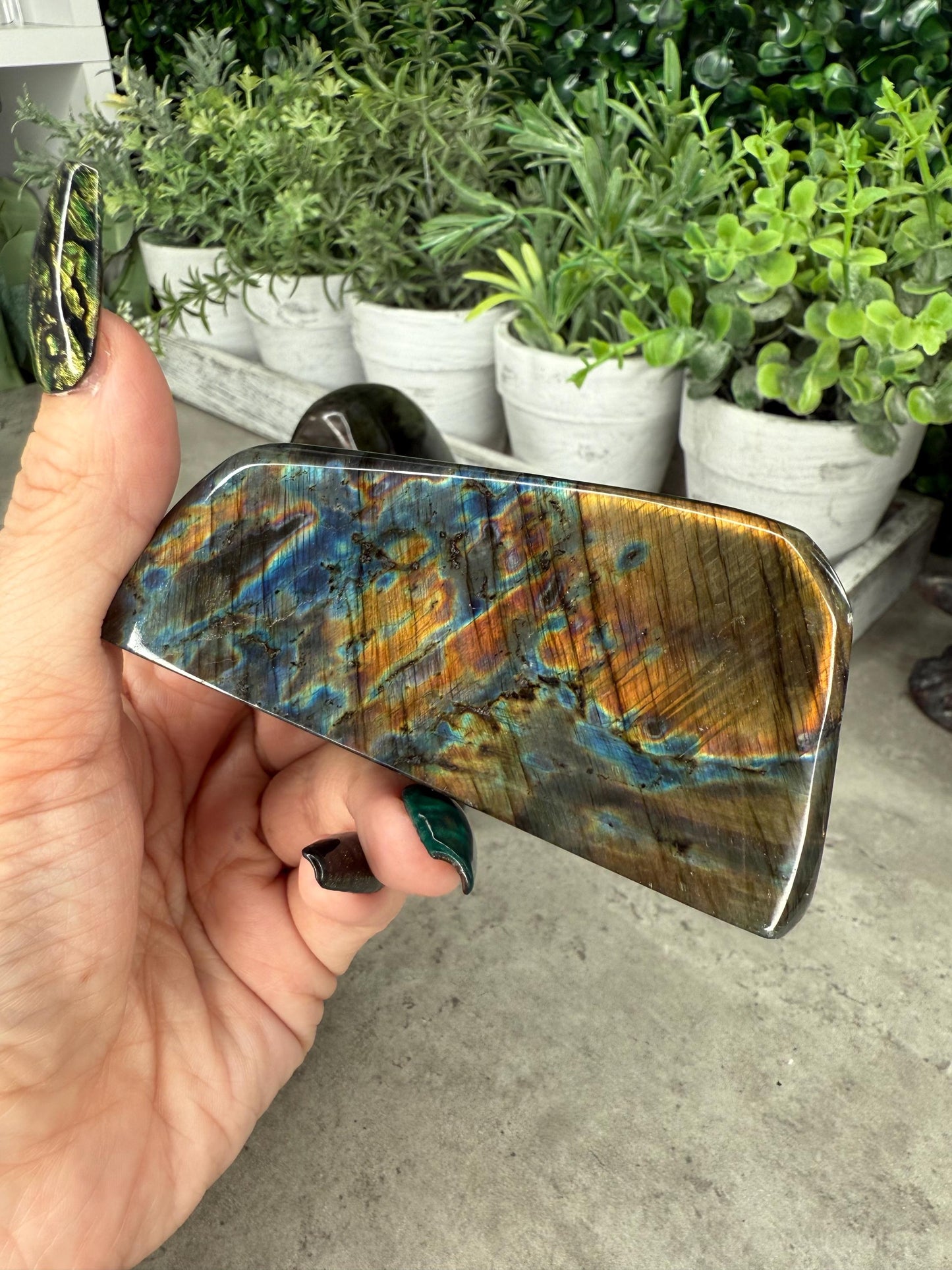Labradorite Freeforms x - z