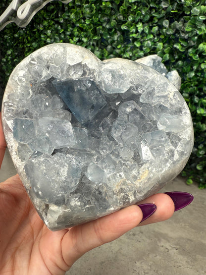 Raw Druzy Celestite Celestine Crystal Carvings Hearte and Eggs