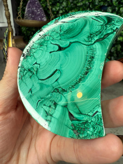 Malachite Crystal Moon carvings with Gold Stands