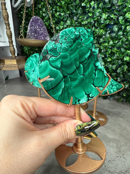 Malachite Crystal Moon carvings with Gold Stands