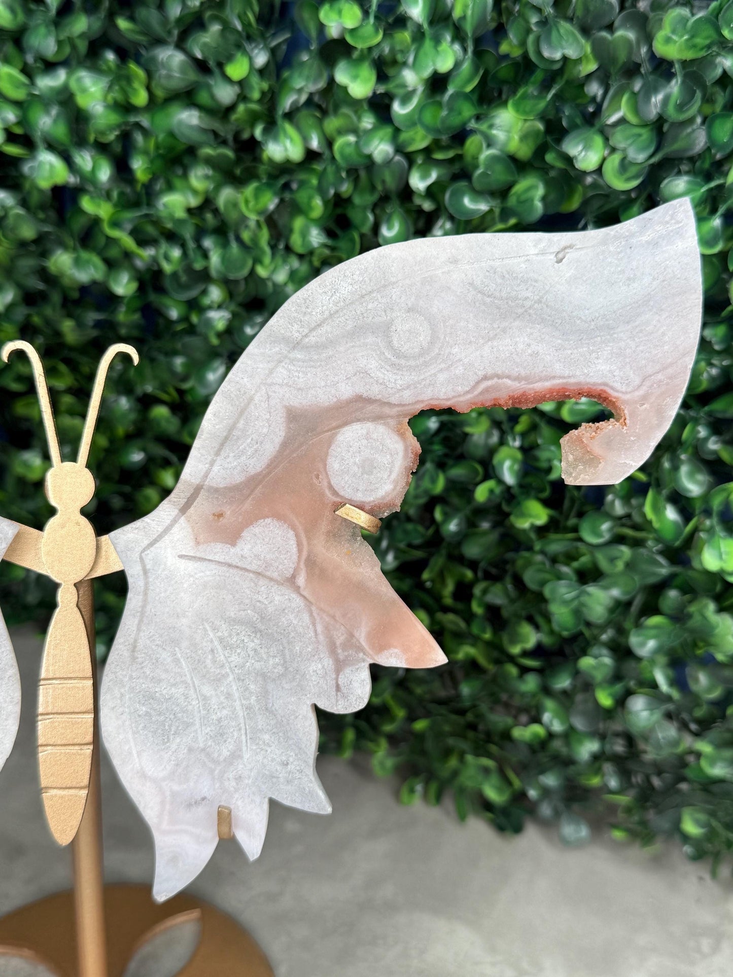 Pink Amethyst Crystal Butterfly Wings with a Gold Stand