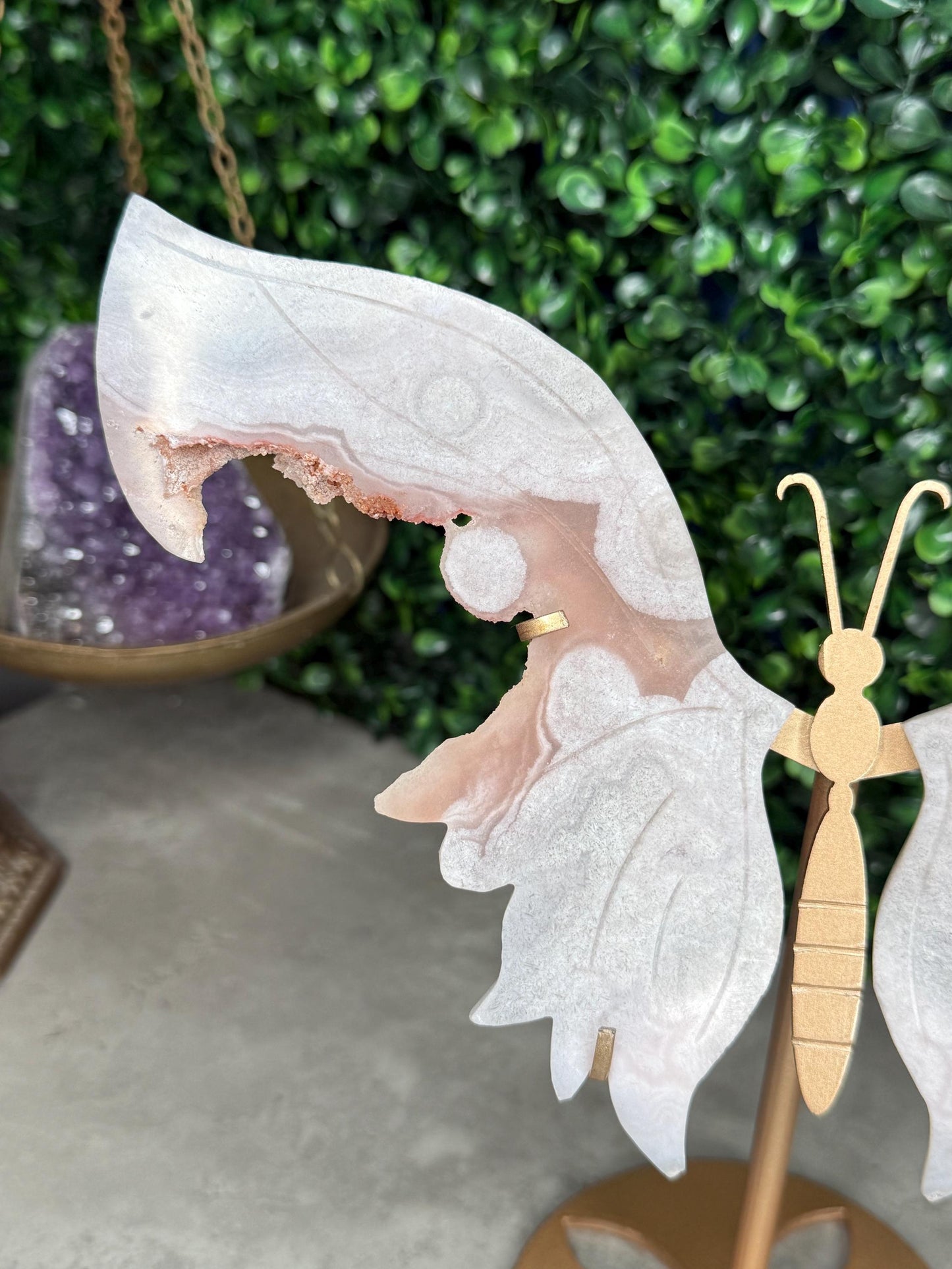 Pink Amethyst Crystal Butterfly Wings with a Gold Stand