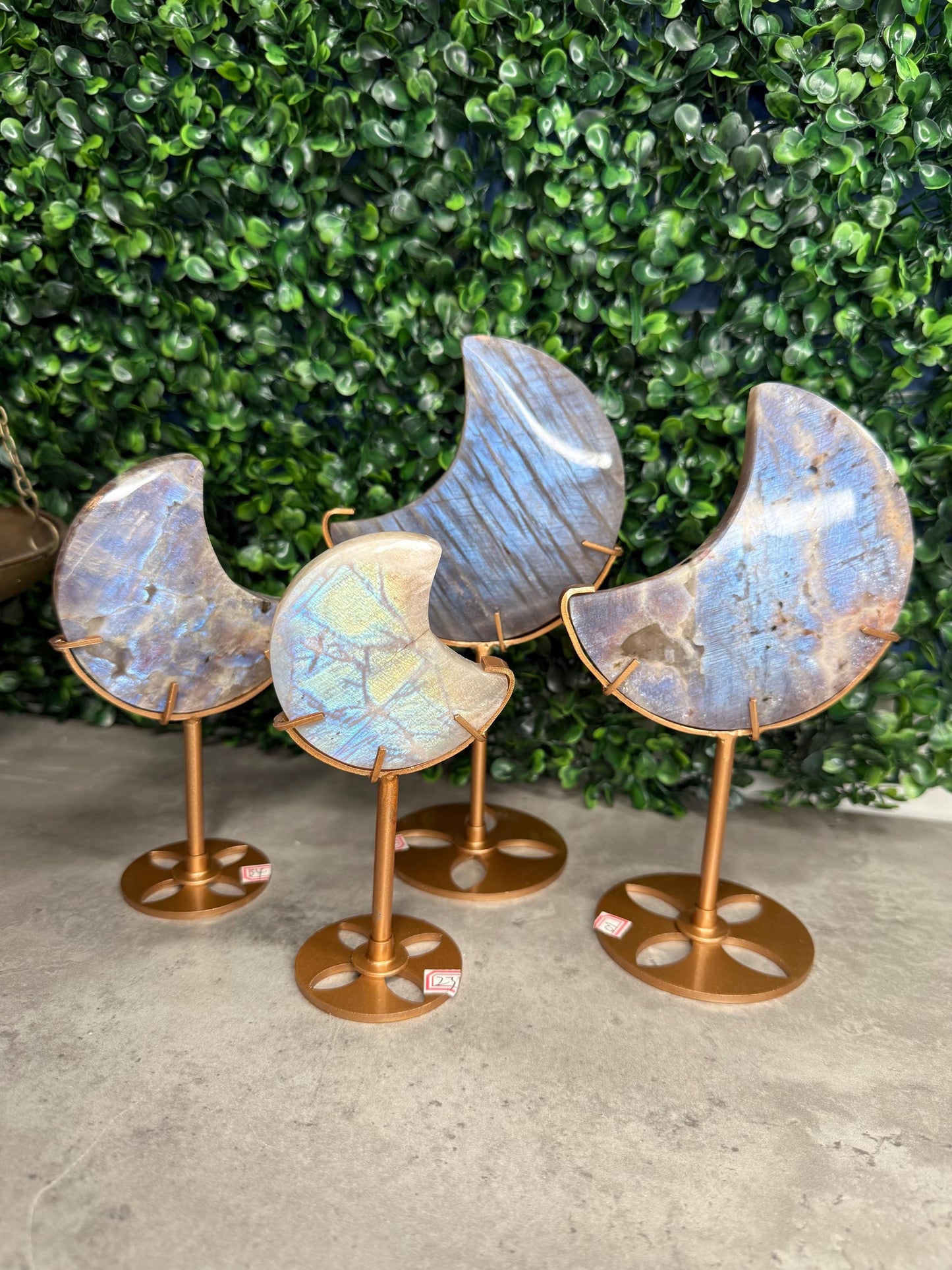 Moonstone and Sunstone Crystal Moon Carvings on Gold Stands