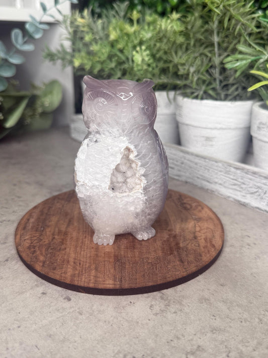 Hand-Carved Druzy Agate Owl Crystal Carving