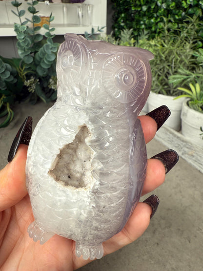 Hand-Carved Druzy Agate Owl Crystal Carving