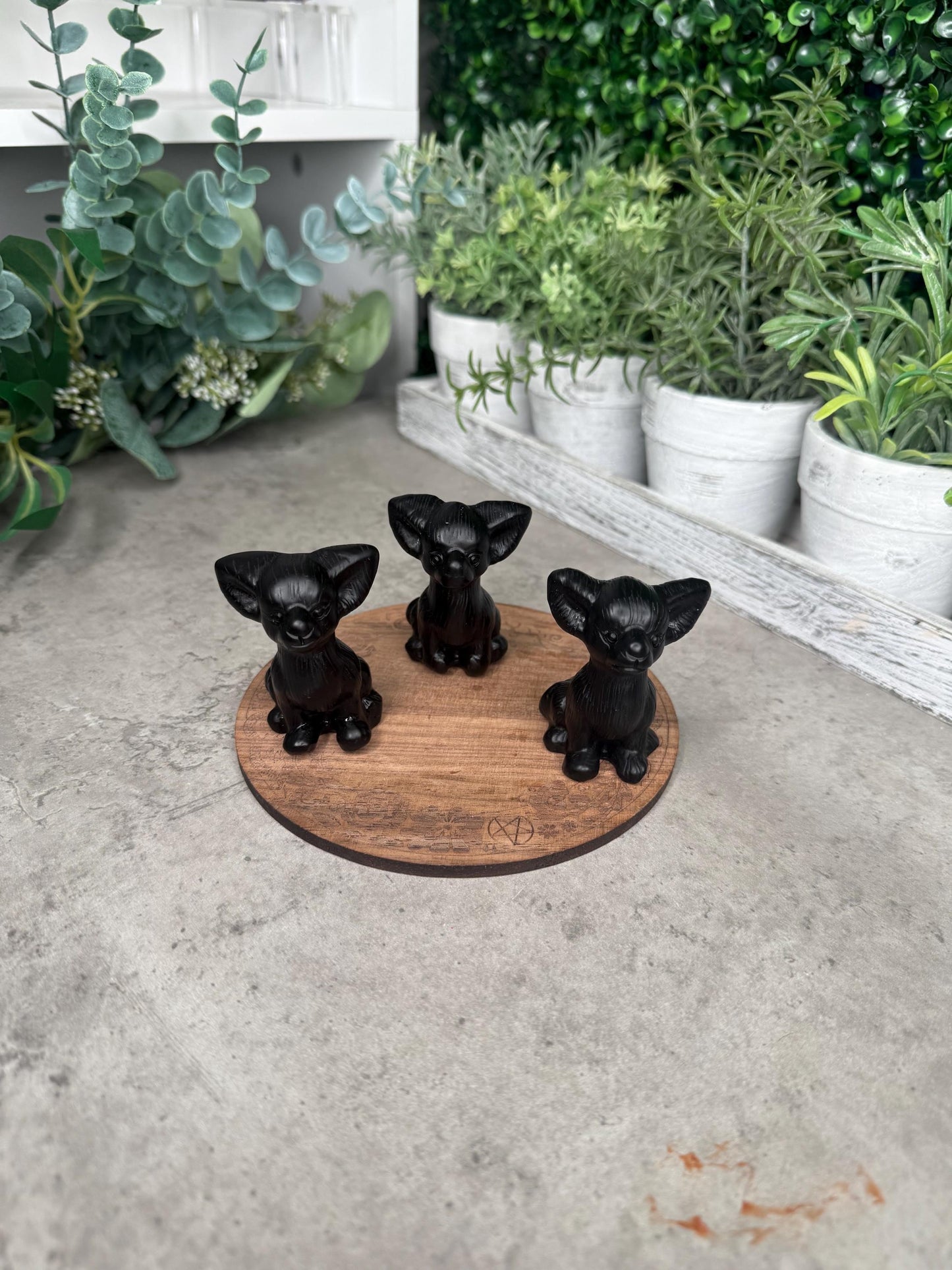 Chihuahua Dog back obsidian large Crystal Carving
