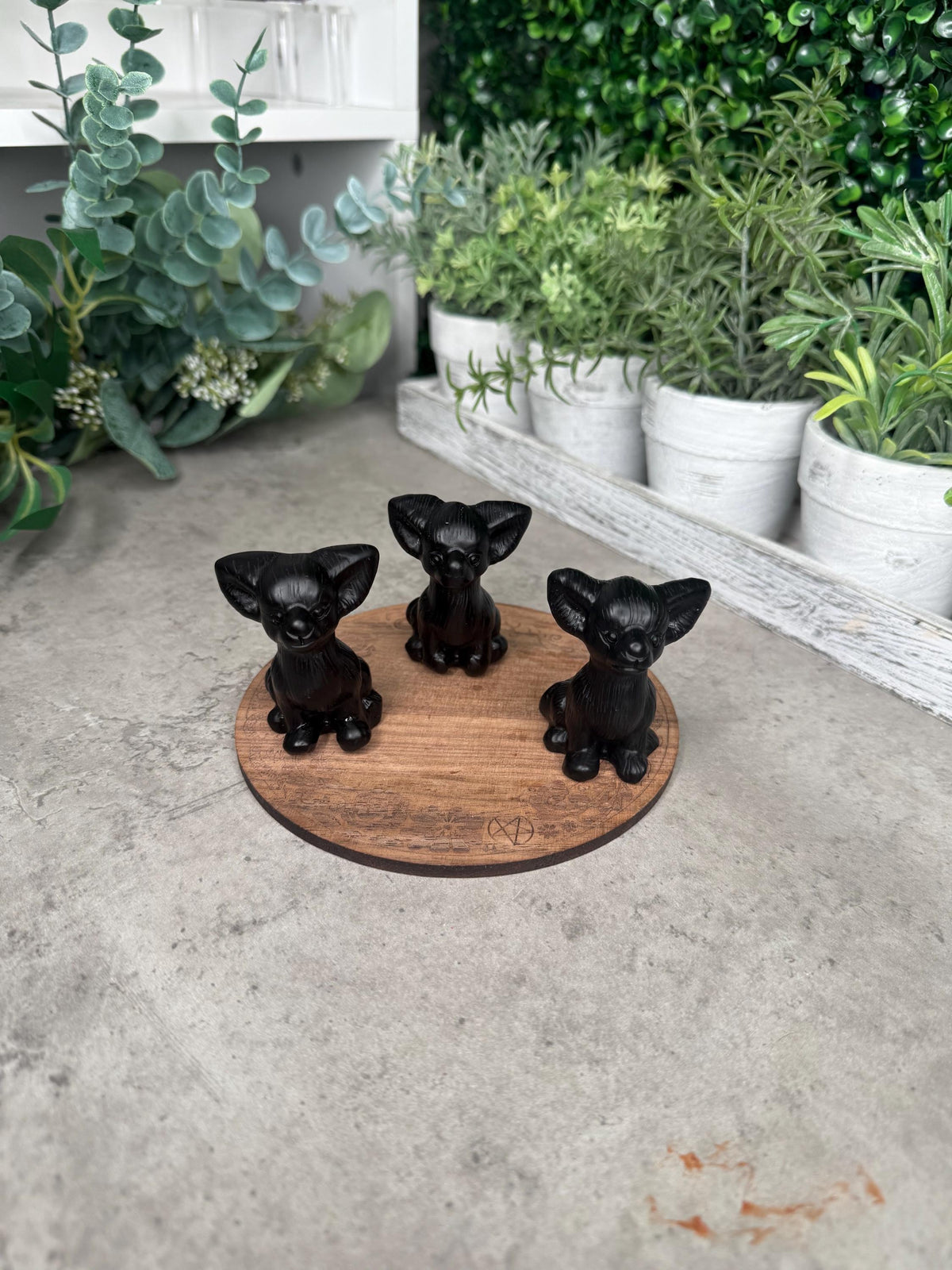 Chihuahua Dog black obsidian large Crystal Carving