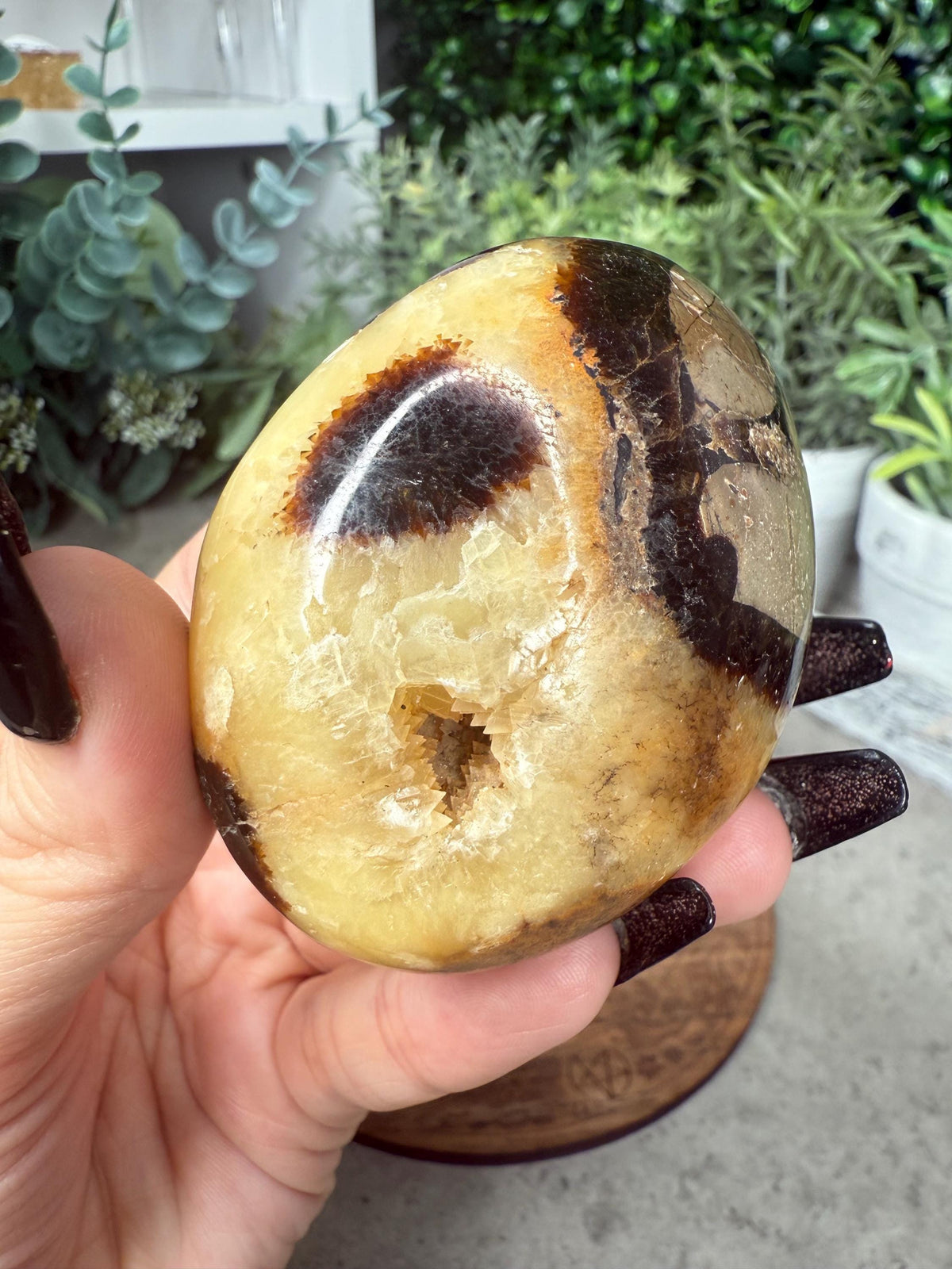 Septarian Dragon Stone Crystal Carving heart and Palmstones