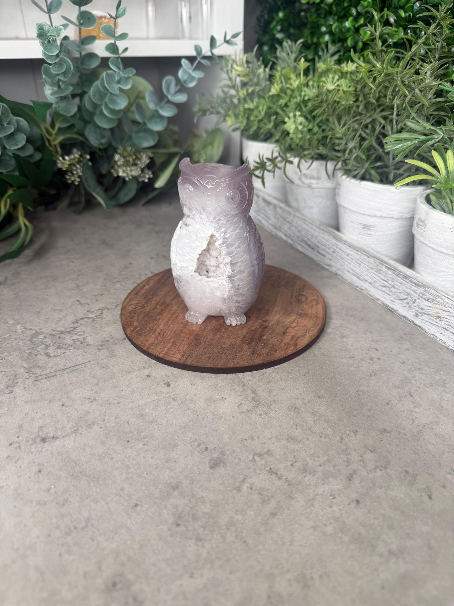 Hand-Carved Druzy Agate Owl Crystal Carving