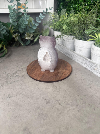Hand-Carved Druzy Agate Owl Crystal Carving