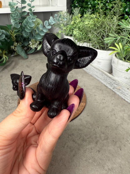 Chihuahua Dog back obsidian large Crystal Carving
