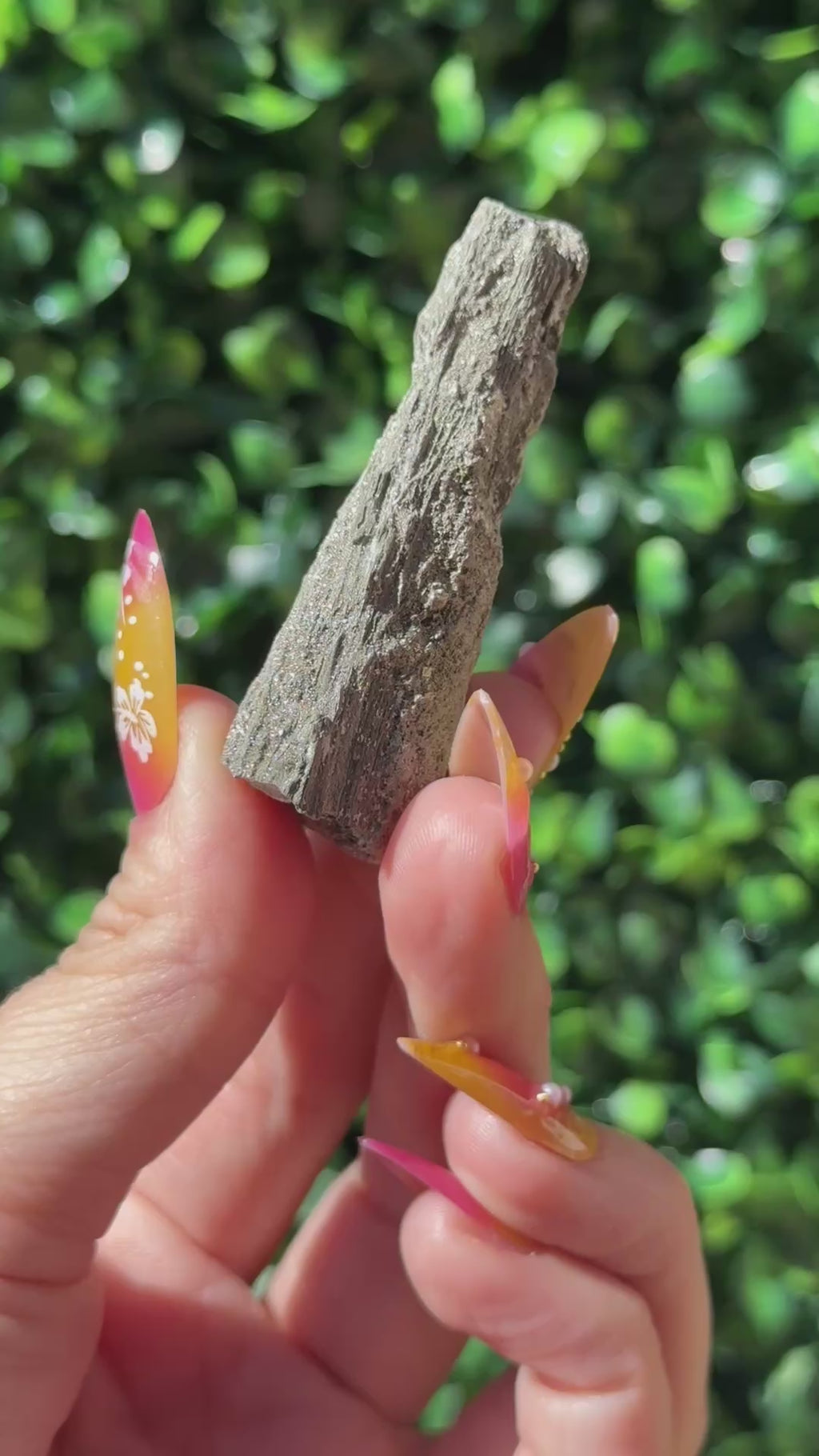 Pyritized Petrified Wood - Indonesia